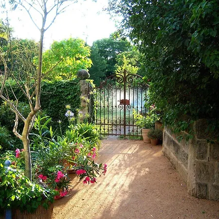 Sunnyside 1 دريسدن