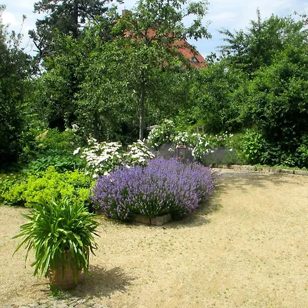 Sunnyside 1 Apartamento Dresden